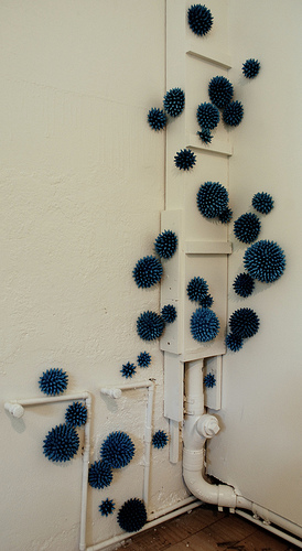 Spores photo by Aaron Dailey