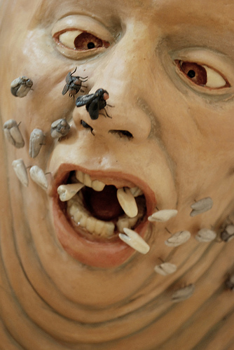 Tooth Fairy photo by Aaron Dailey