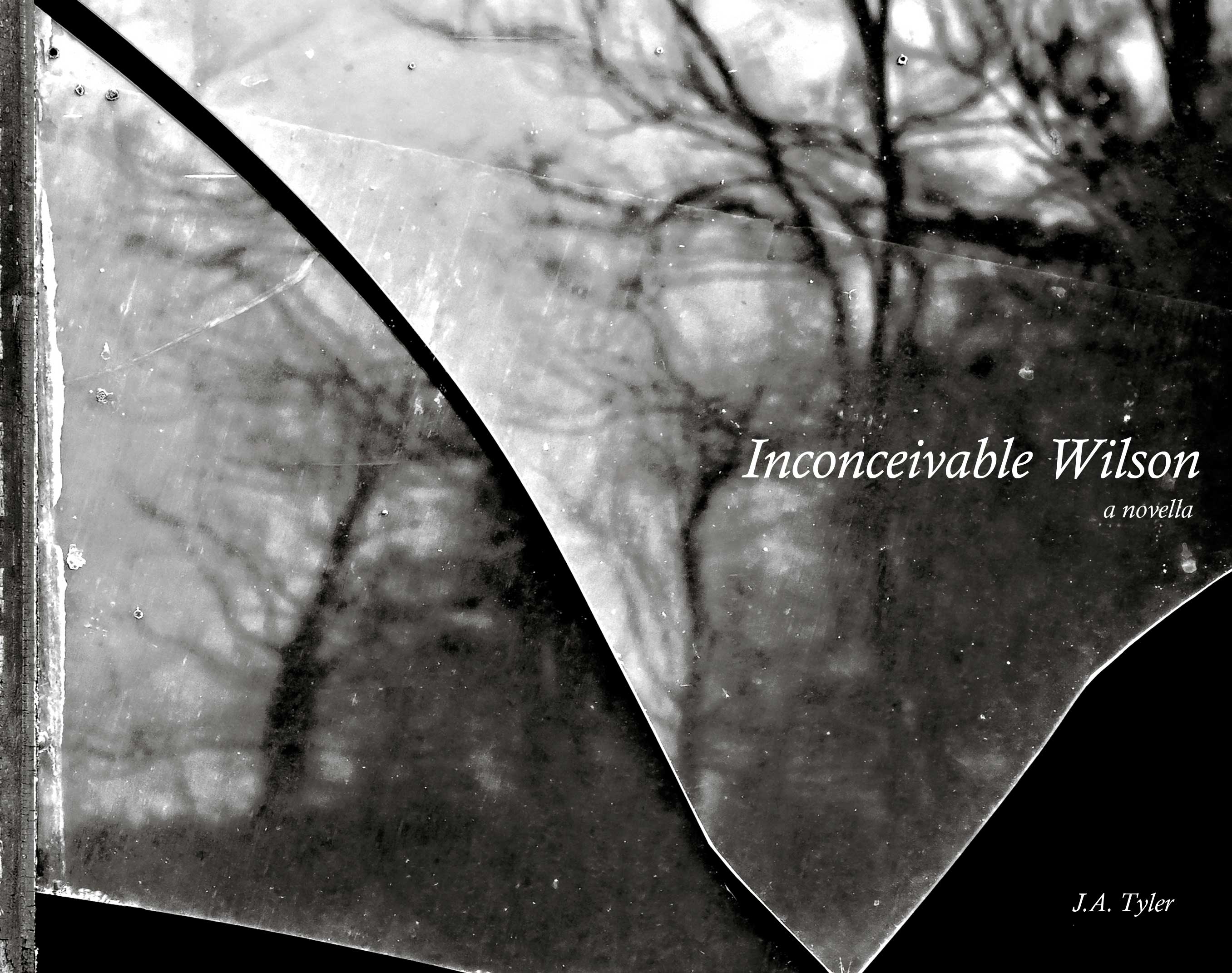 cover image for Inconveivable Wilson
